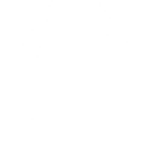 WILLPOWER FIGHTWEAR